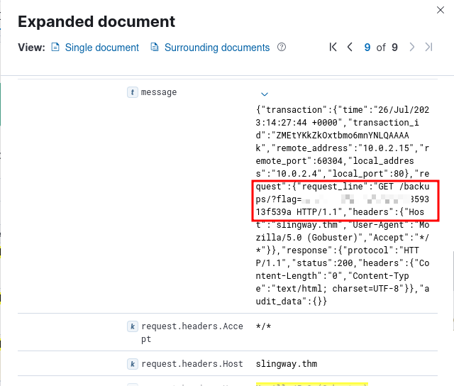 Flag under backups directory