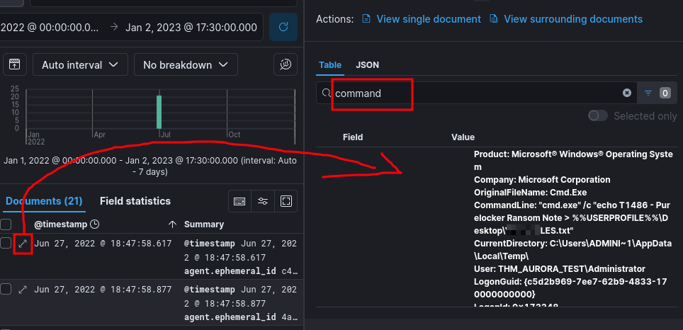 Ransomware file found